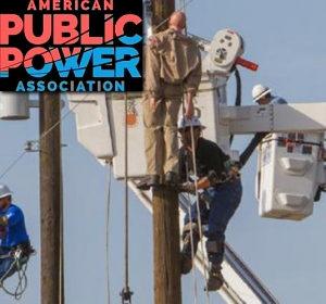 American Public Power Association